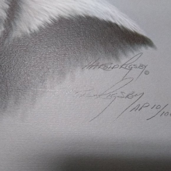 Panda II AP 10/100 by Harold Rigsby Signed - Picture 6 of 9